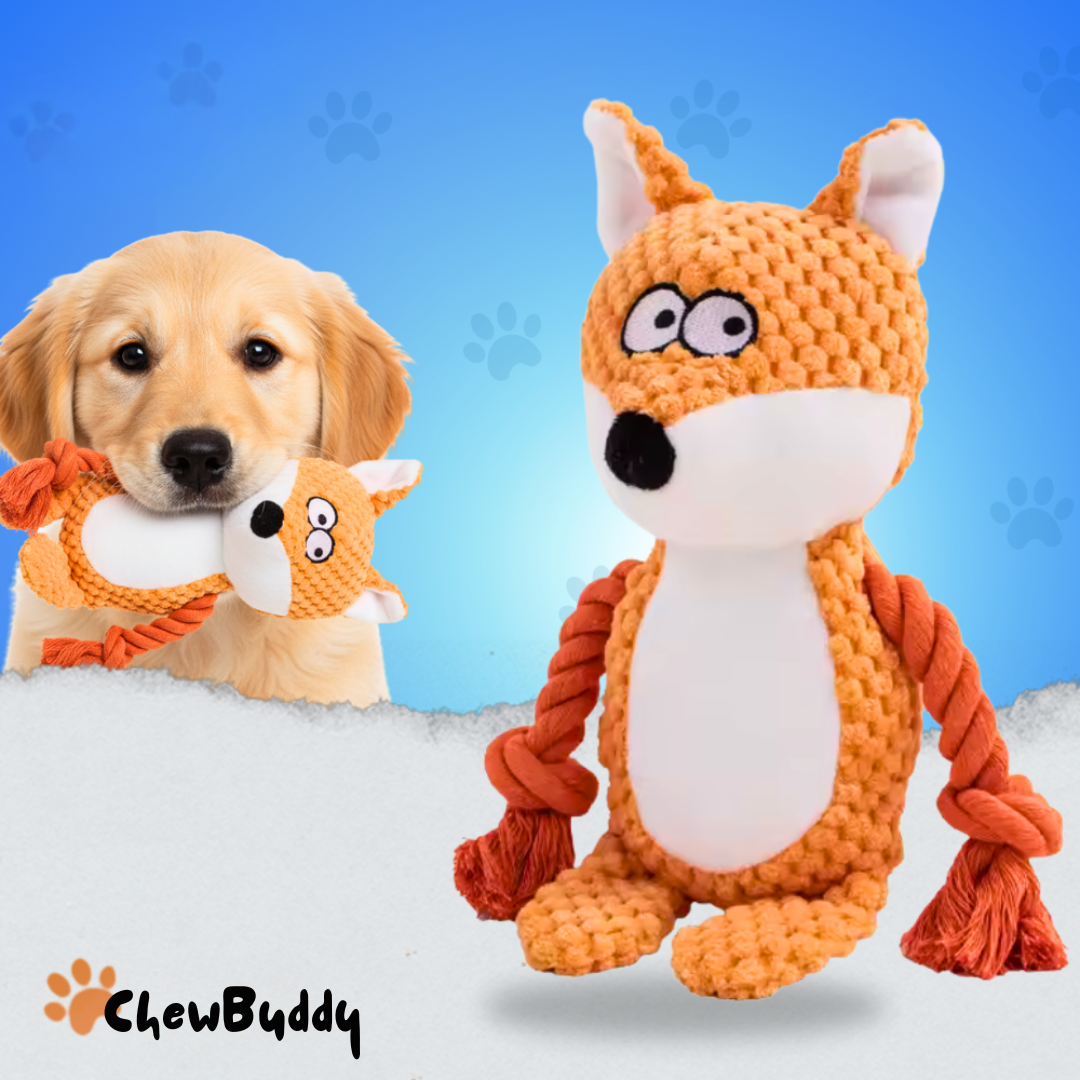 Chewbuddy – om te trekken, kauwen en lief te hebben