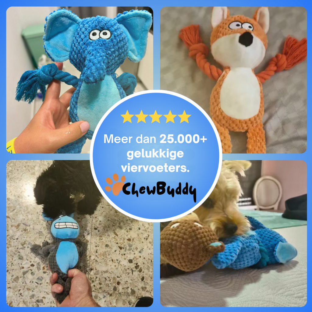 Chewbuddy – om te trekken, kauwen en lief te hebben