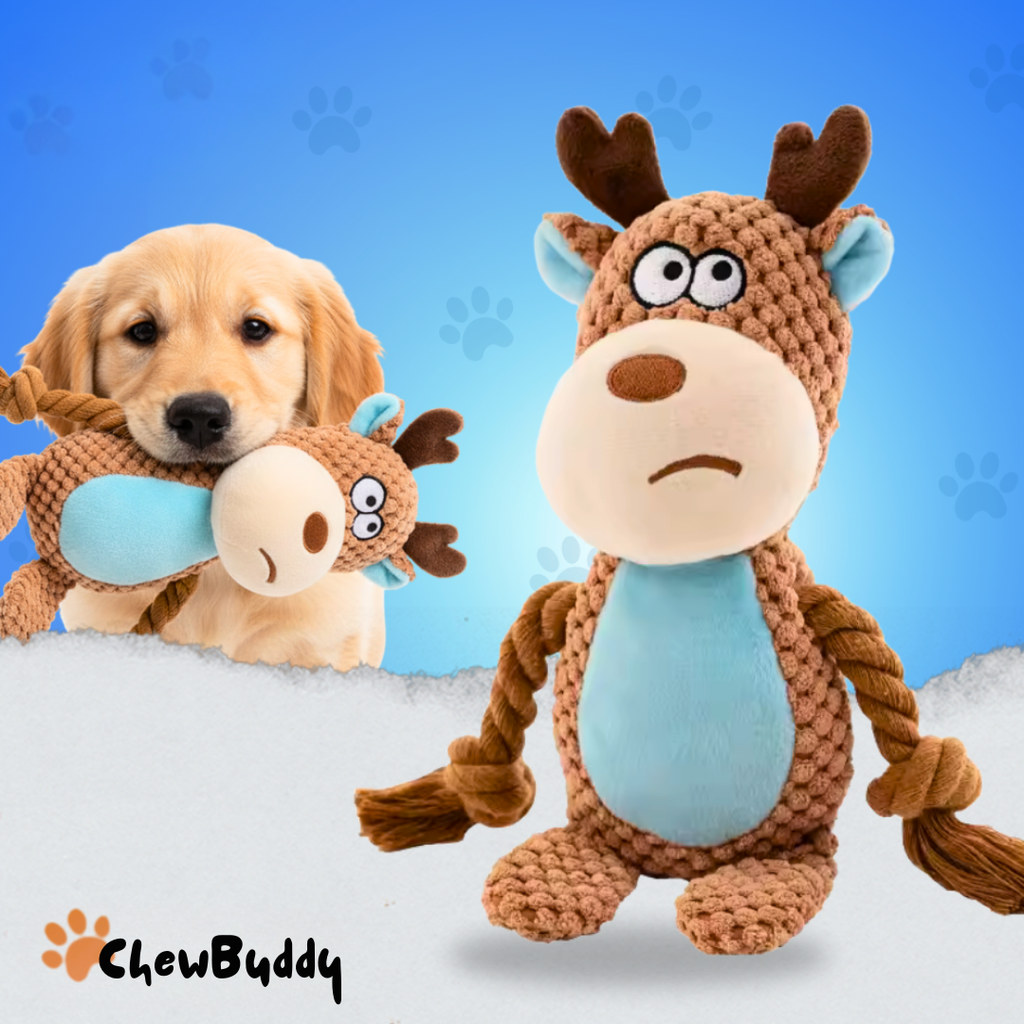 Chewbuddy – om te trekken, kauwen en lief te hebben