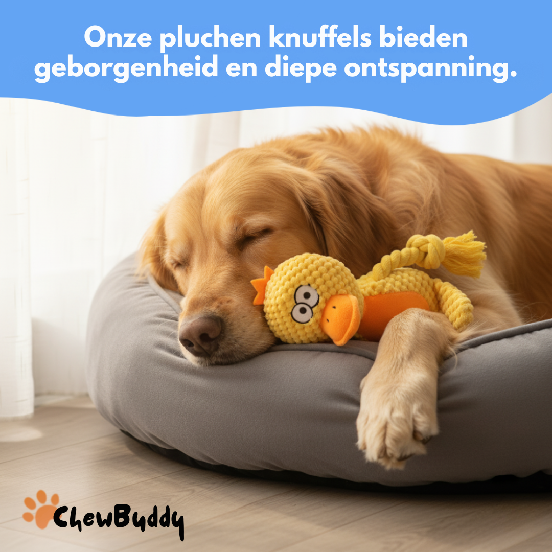 Chewbuddy – om te trekken, kauwen en lief te hebben